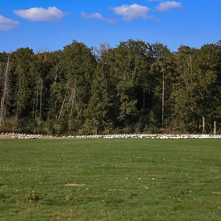 Sleep Space 2 - Green&tiny Spot Rehburg Schafweide