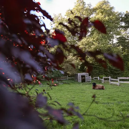 Sleep Space 2 - Green&tiny Spot Rehburg Schafweide 度假居